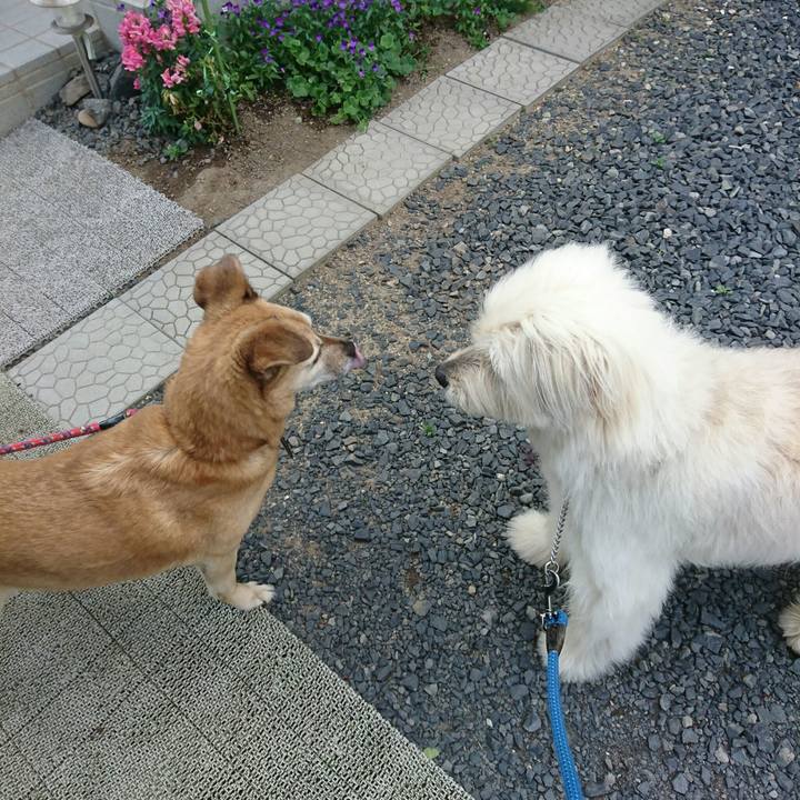 193d8683 637c 4c07 bbfe a6b4800e0271