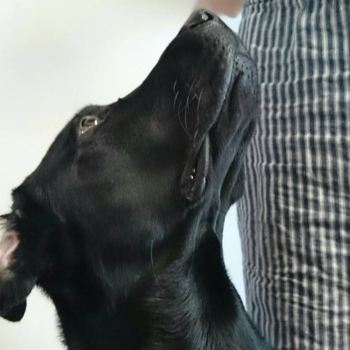 193ea208 3b75 458c 8629 28c66afc16f3