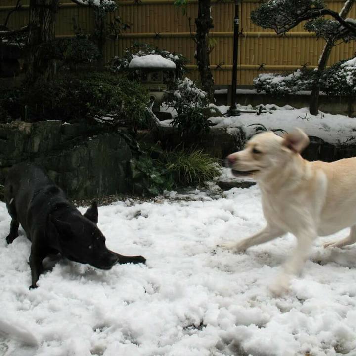 193f1593 5d62 456b bcd5 986988bea9fb