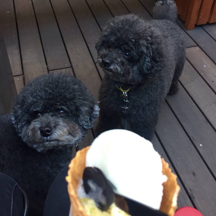 193f372f 2ab7 4e65 a574 e9e767d20c92