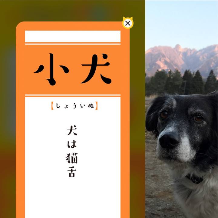 193fbbff 3aea 4892 b490 57354fbf347a