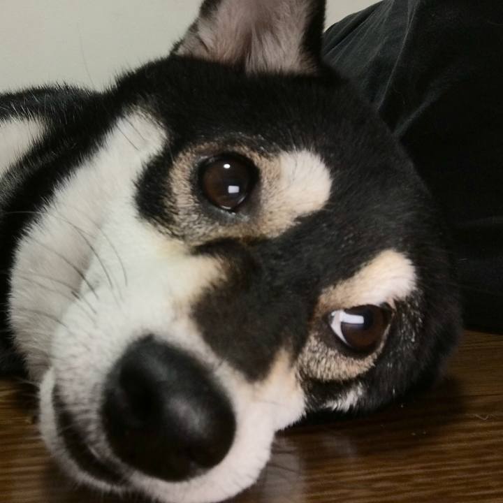 193fde3e 24cd 4678 b96c 97b908f875c8