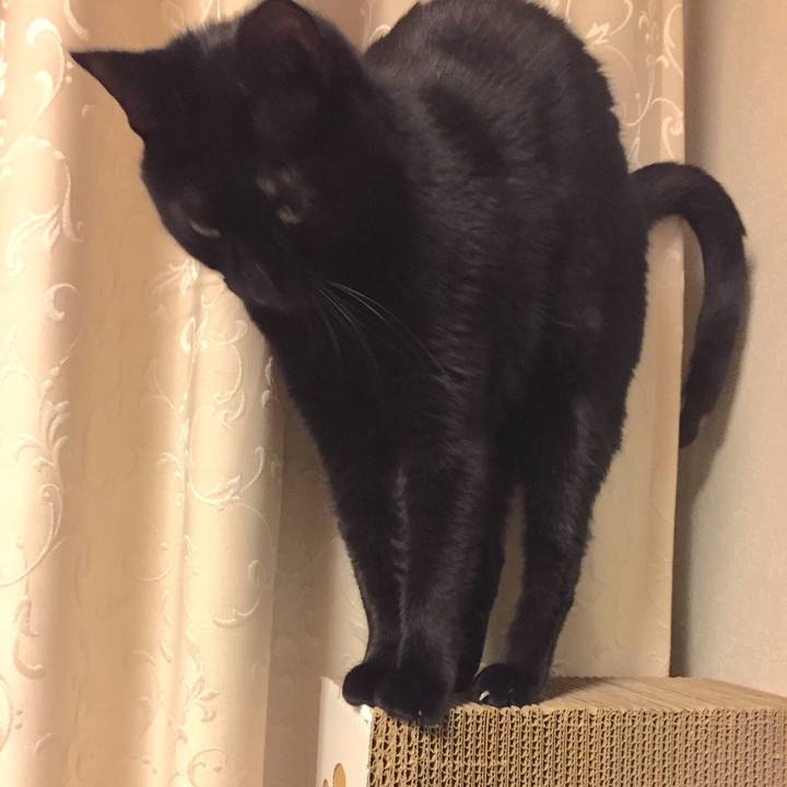 19405aa3 f990 42ad 9b8e 7b4d72dc9a18