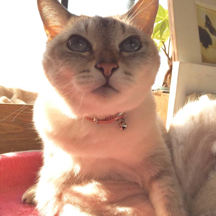 19408758 4b90 4883 8622 9708e233f2bf