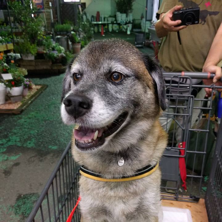 1940a36d 4fb5 402e a039 4fe9504781d0