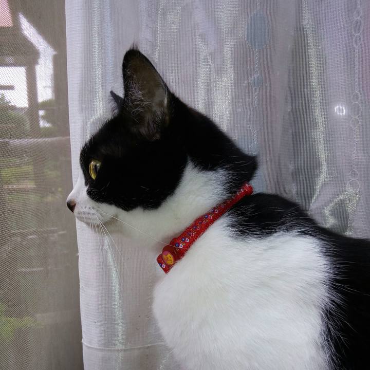 1940bb54 5493 442c bf9a 9c1984a7c73e