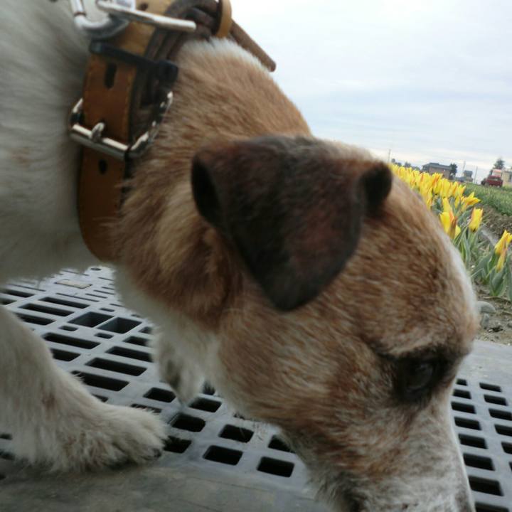 194109cf 3d54 4fdd a88f f247d19b5c55