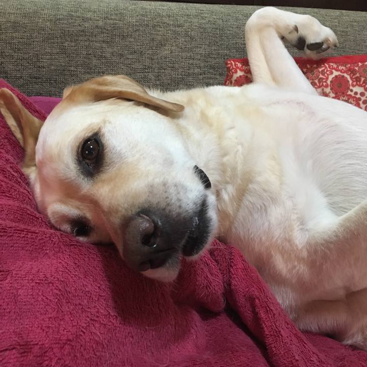 19411ada e9c0 462e b834 5726bb48e4cf