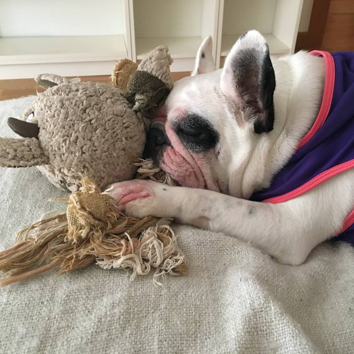 19419aeb dc6d 4518 87bd 287d69d7af37