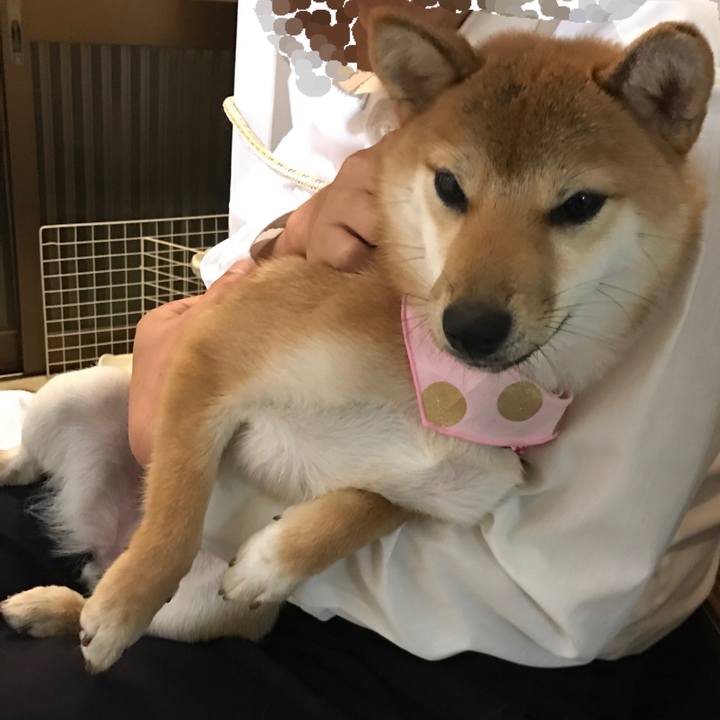 1941c68c 4fbd 42bd a04d 5a7aa0c7c537