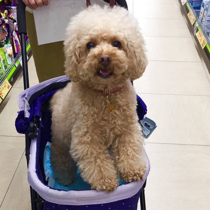 1941cb4f 2c82 4962 a04d 888dccd73a8b