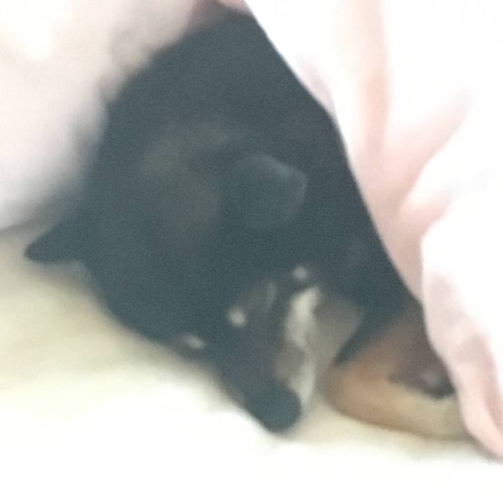 1941d457 d4a9 41e1 b9ad 58763c28fbe7