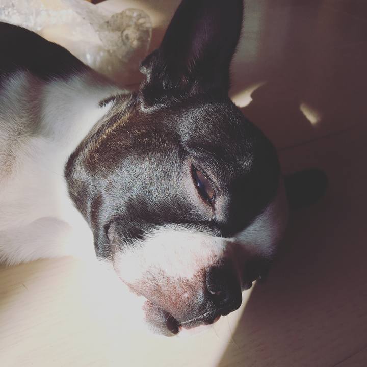 1941d8e2 3ee6 4f6d 9bb2 f2df41a35299