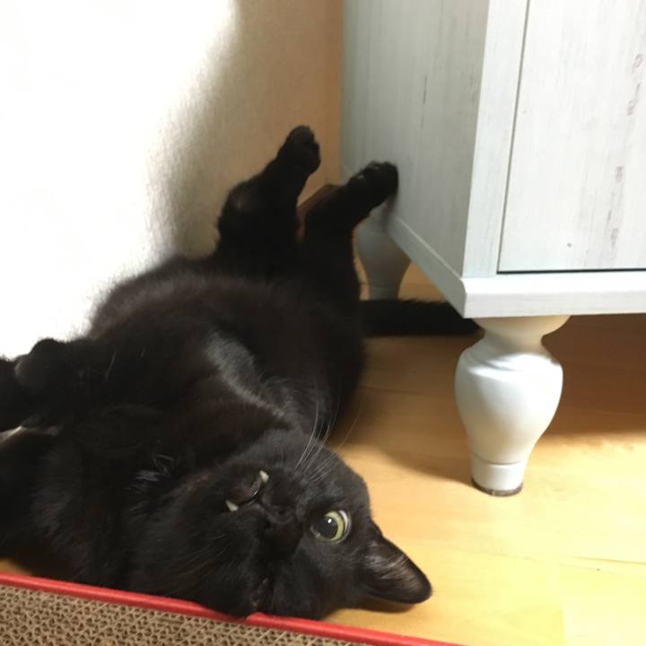 1942a337 c503 48b8 a287 5e733570089c