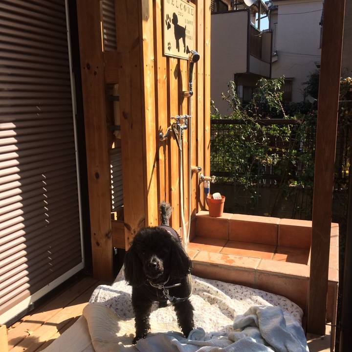 1942ee21 5d34 4e33 bae2 0cca3f633c4e