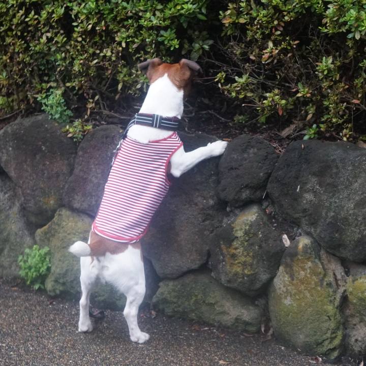 19433f70 89cf 46ea abd7 3f49371f37e6