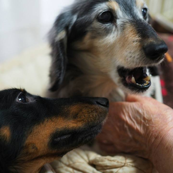 19443541 0782 421e ba16 dc394695fe8b