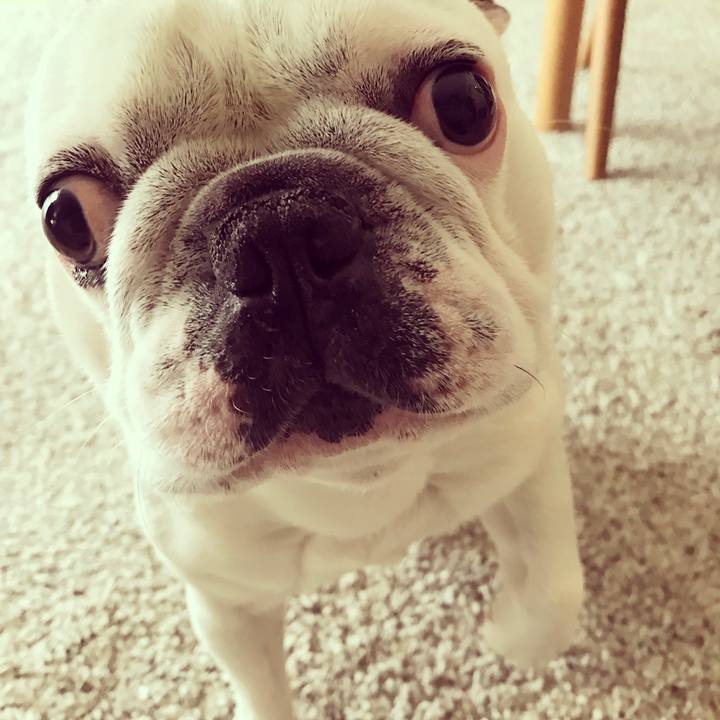 1944d671 ff0f 4578 b1ac 451c634ec7a9