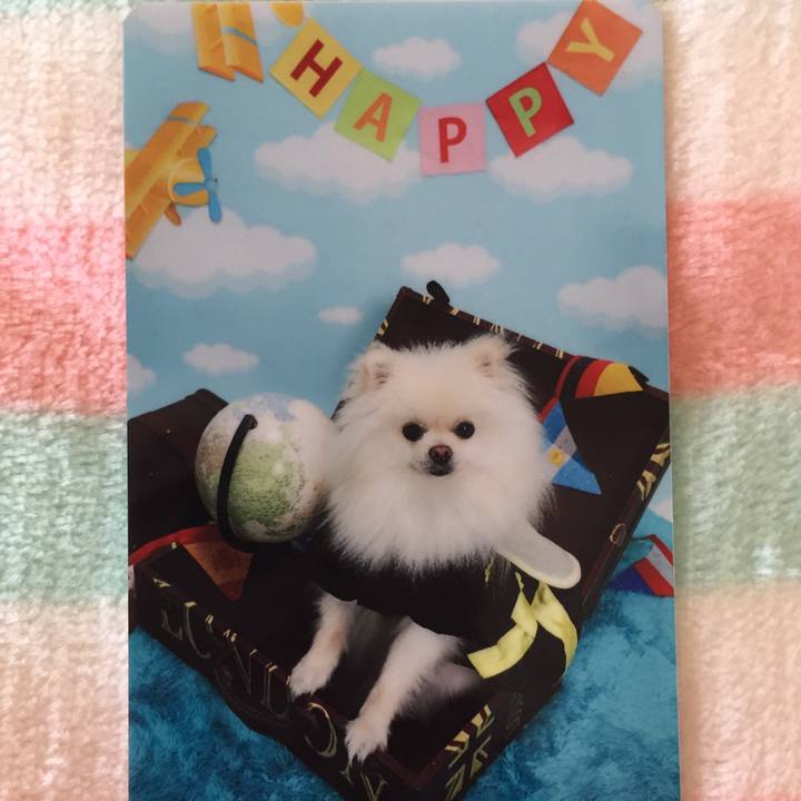 19451a21 f010 4eb2 90d5 18349ca03992