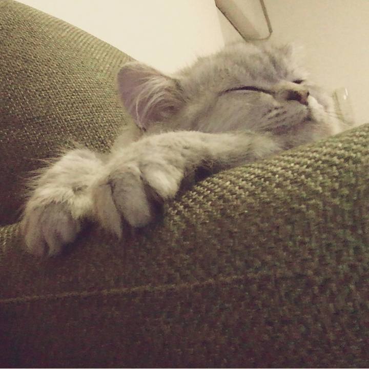 19451e7d 5a69 402a 9f70 e79f48377ac0