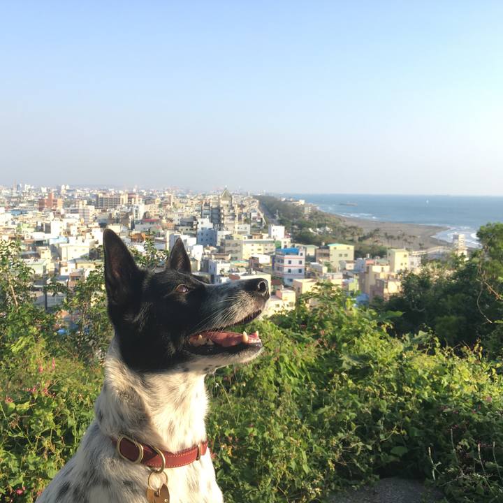 19464f24 26de 43be 88f6 f613420a236a