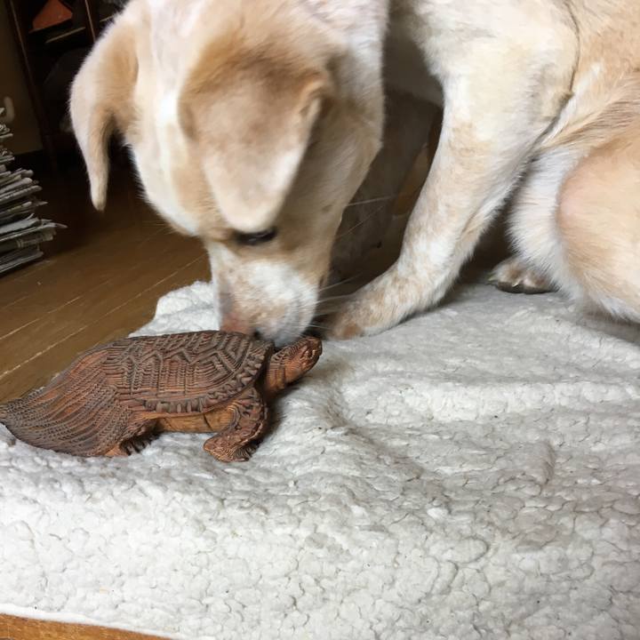 194672d8 49ee 423a b2b6 311a94e55b41