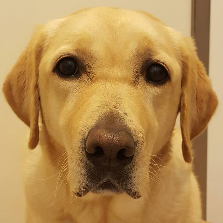 1946738a 3325 4cec 8b02 ab18e16d8953