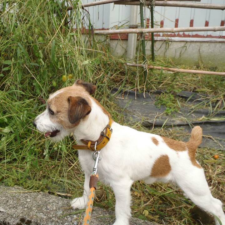 1946bb4b 859a 4443 b0c6 f5e71dbb199e