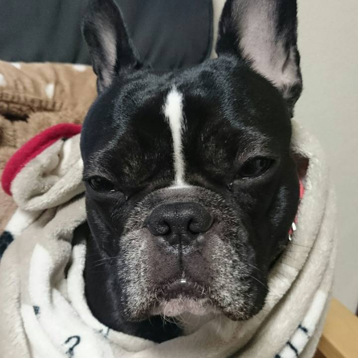 1947c118 8569 483b 8229 b4022944bd20