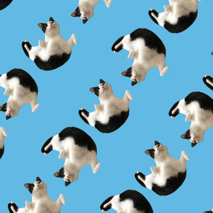 1947cd10 ea04 4637 9238 5a5341cc93fb