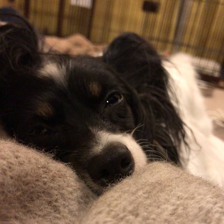 194851d4 d153 471d b359 1f2a2641e621