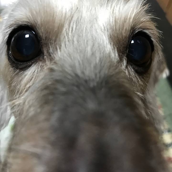 19485707 0237 4db9 ba60 a3881c8a3c6d