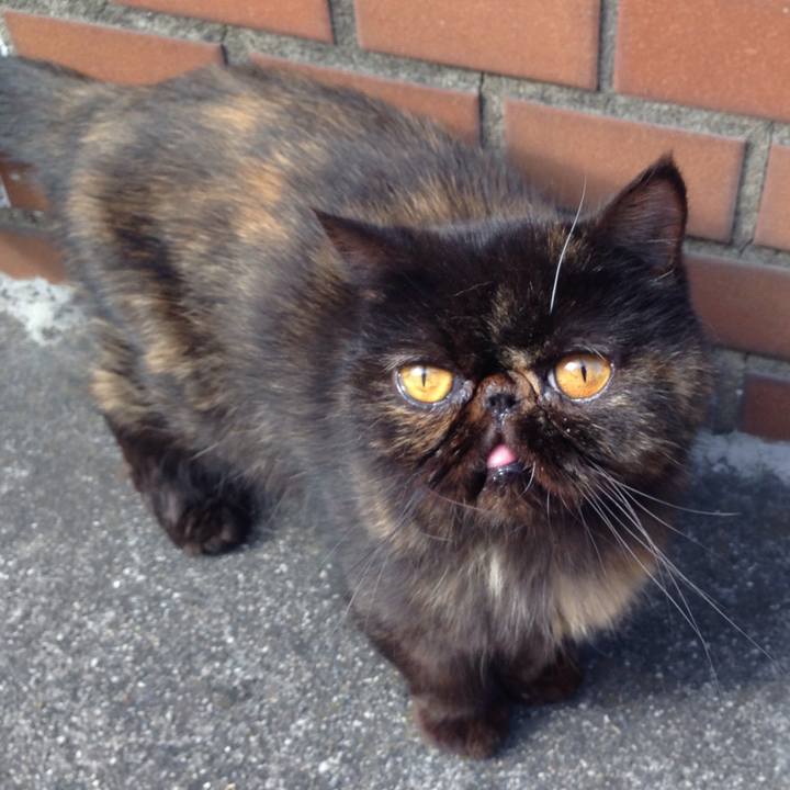 19487b75 6075 41c0 b986 a91b93c4eccc