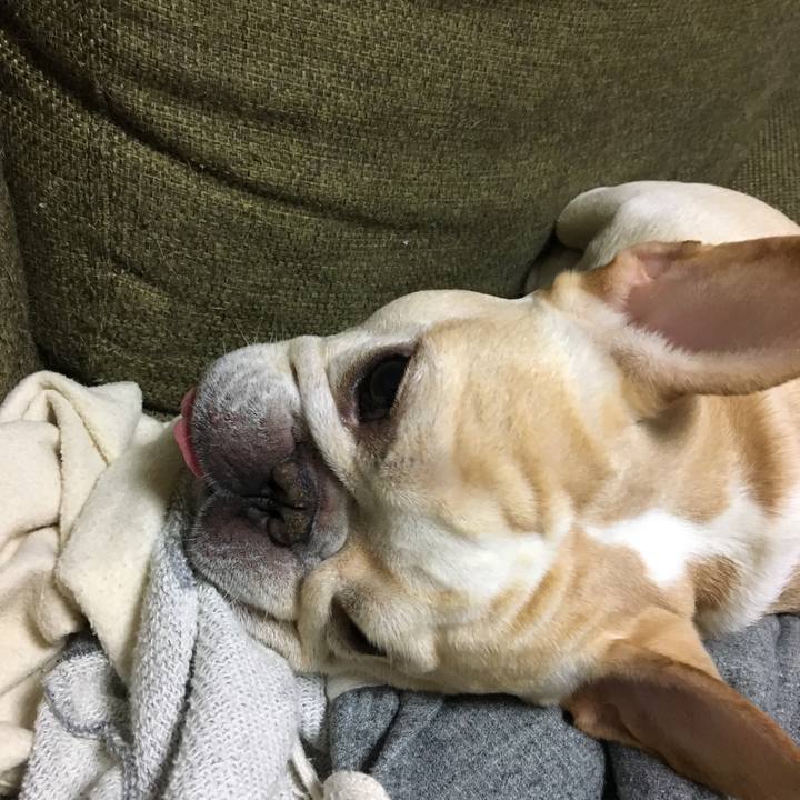 1949e309 c0c3 4bed bf65 9026cb010d3c