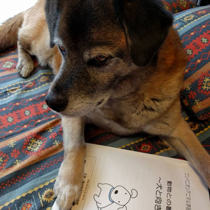 194a67d0 1f79 4d89 a4c5 636aae3f8e34