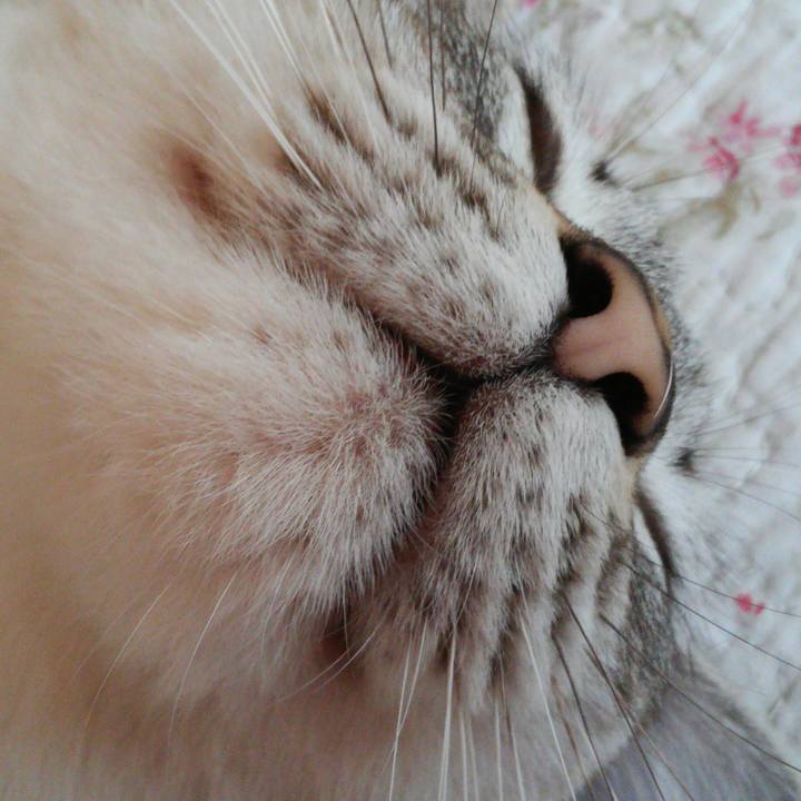 194d6542 a120 477a ba08 4e0035255a60