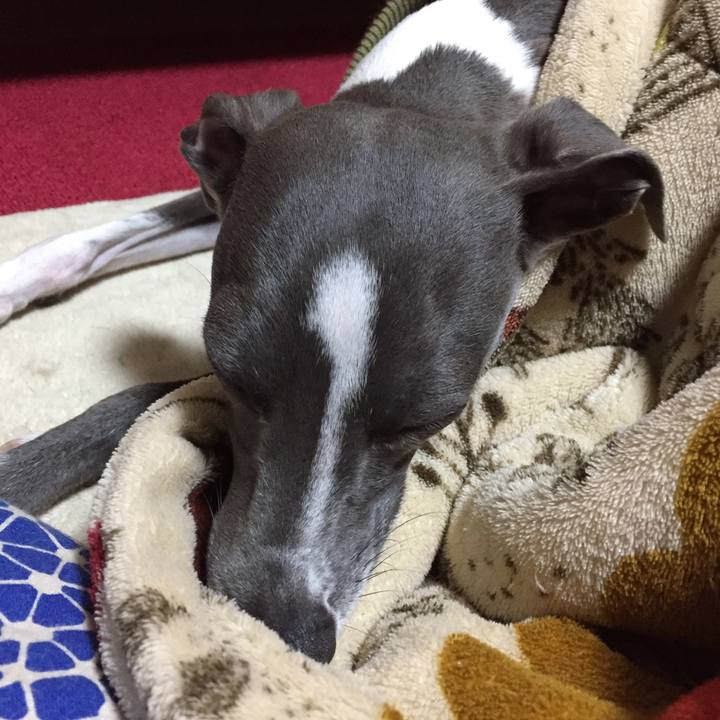 194e7459 916d 44a0 827f 07666aa9c60a