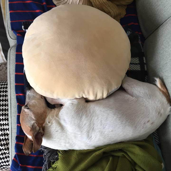 194ea2b1 318c 43ee a8f0 fc7dd4b46c8e