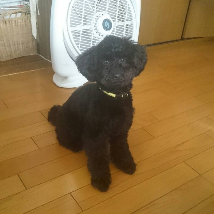 194fd5a6 f871 474f 879e 5bccc8f1b037