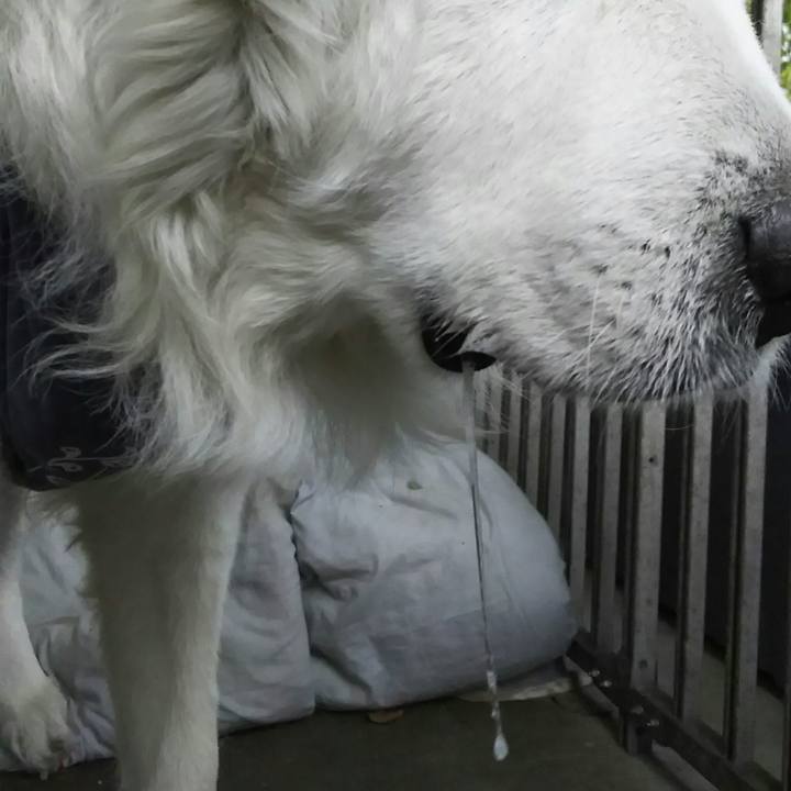 195001e2 f2f1 4b5e a450 d3abbb713b1f