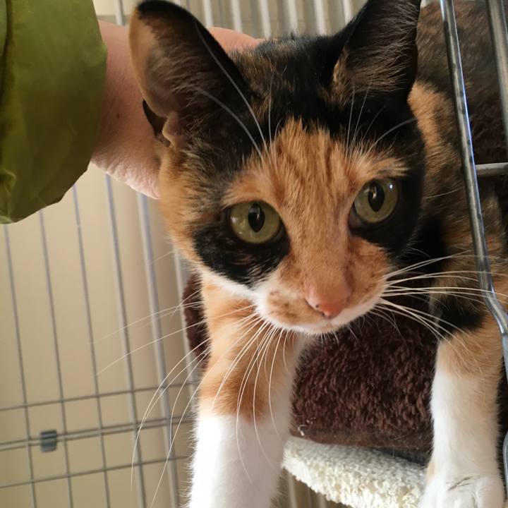 1950b81a a883 4209 b201 439050c573c8