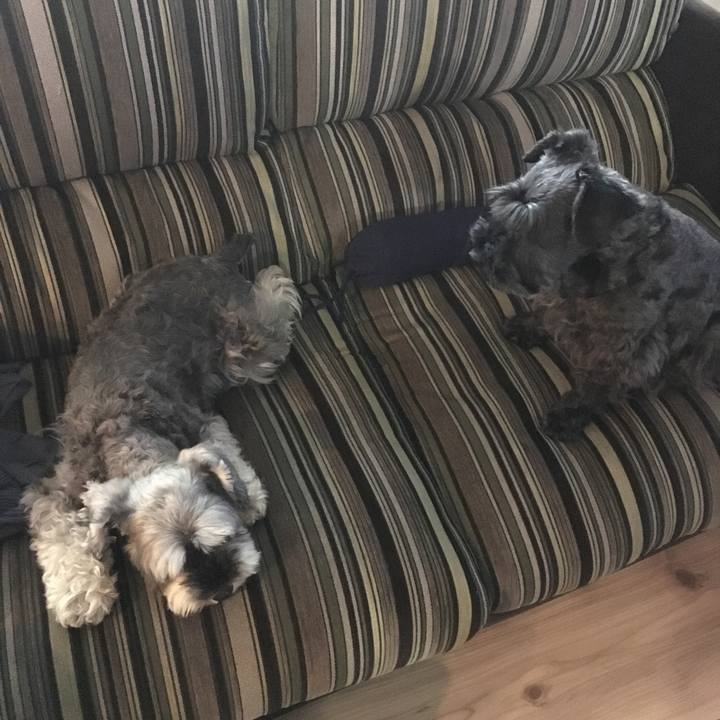 1950b89d 3a31 4cd4 9809 ff78cbce9fcf