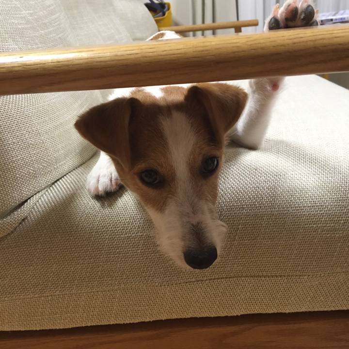 19510320 3c9c 4814 a9af 5556fe0c2eb4