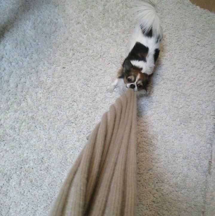 1951d665 1e19 4c75 a7bf 0f29ba83e285