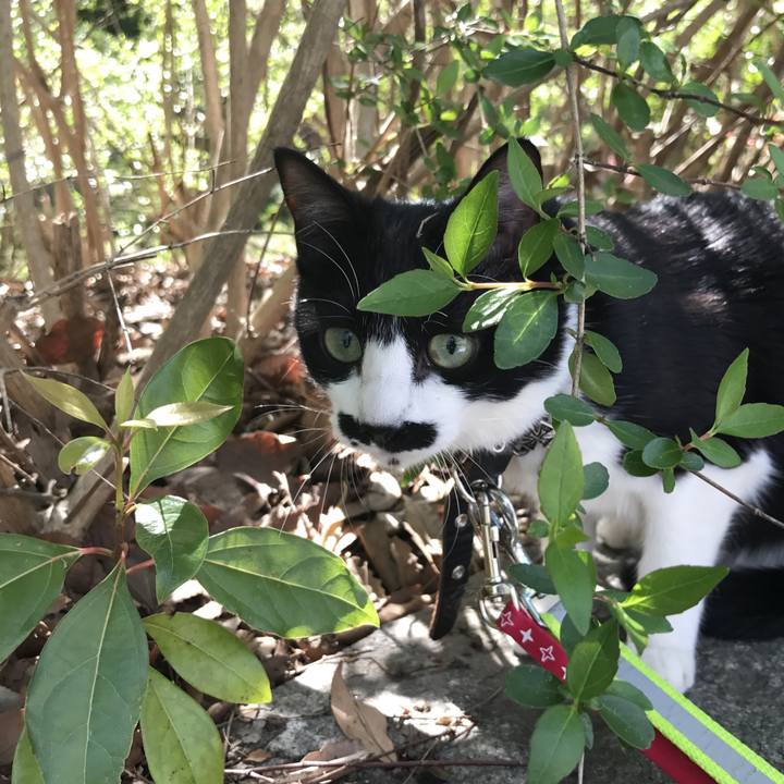 1951e872 5049 4086 973e 8cf6af6cec51