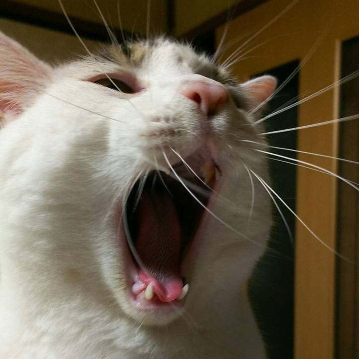 19528568 8cae 4bdc af76 5d3e931277db