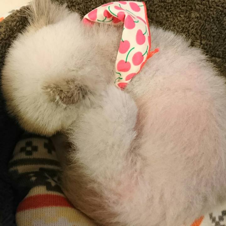 1953152b 3077 4fb4 9a84 0e19d77cd45d