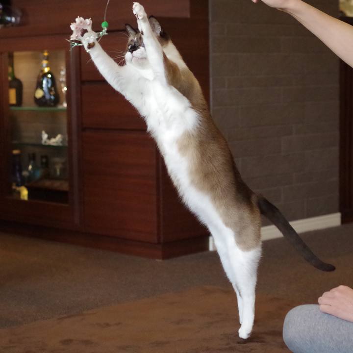 195376b7 69ff 4826 bd28 ce5601a5b7d5