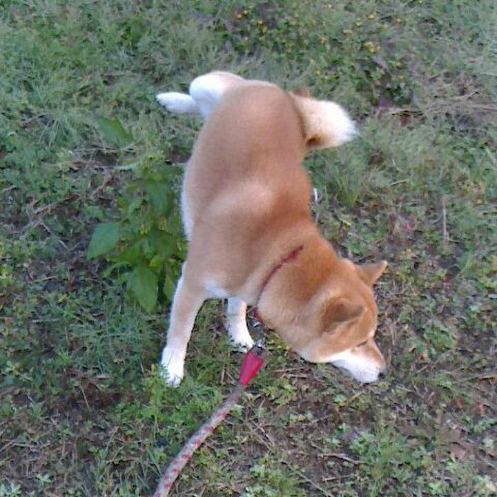 195376fb 2556 4529 a730 fe00b75e1195