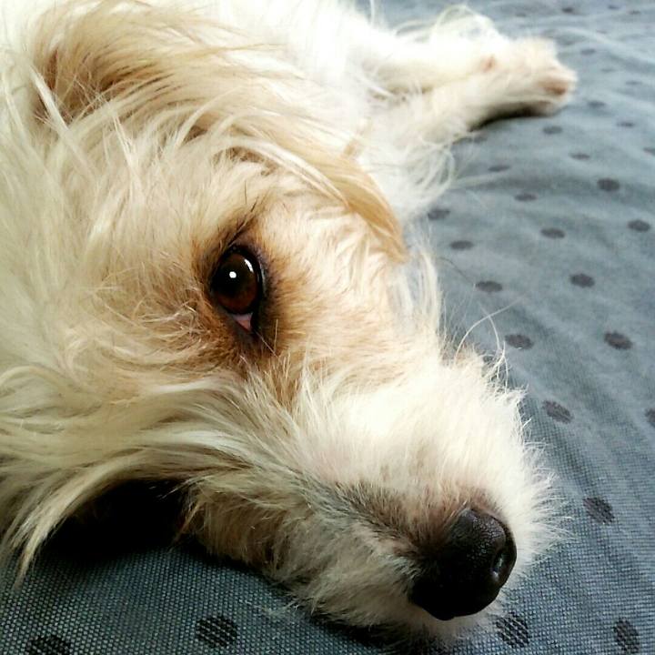 1953919e b4ee 48fd ae37 304f71b29e07